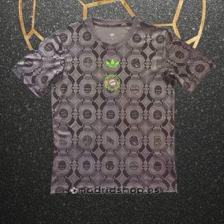 Camiseta Pre Partido del Bayern Munich 25-26 Gris